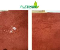 Platinum Carpet & Upholstery Cleaning  image 1